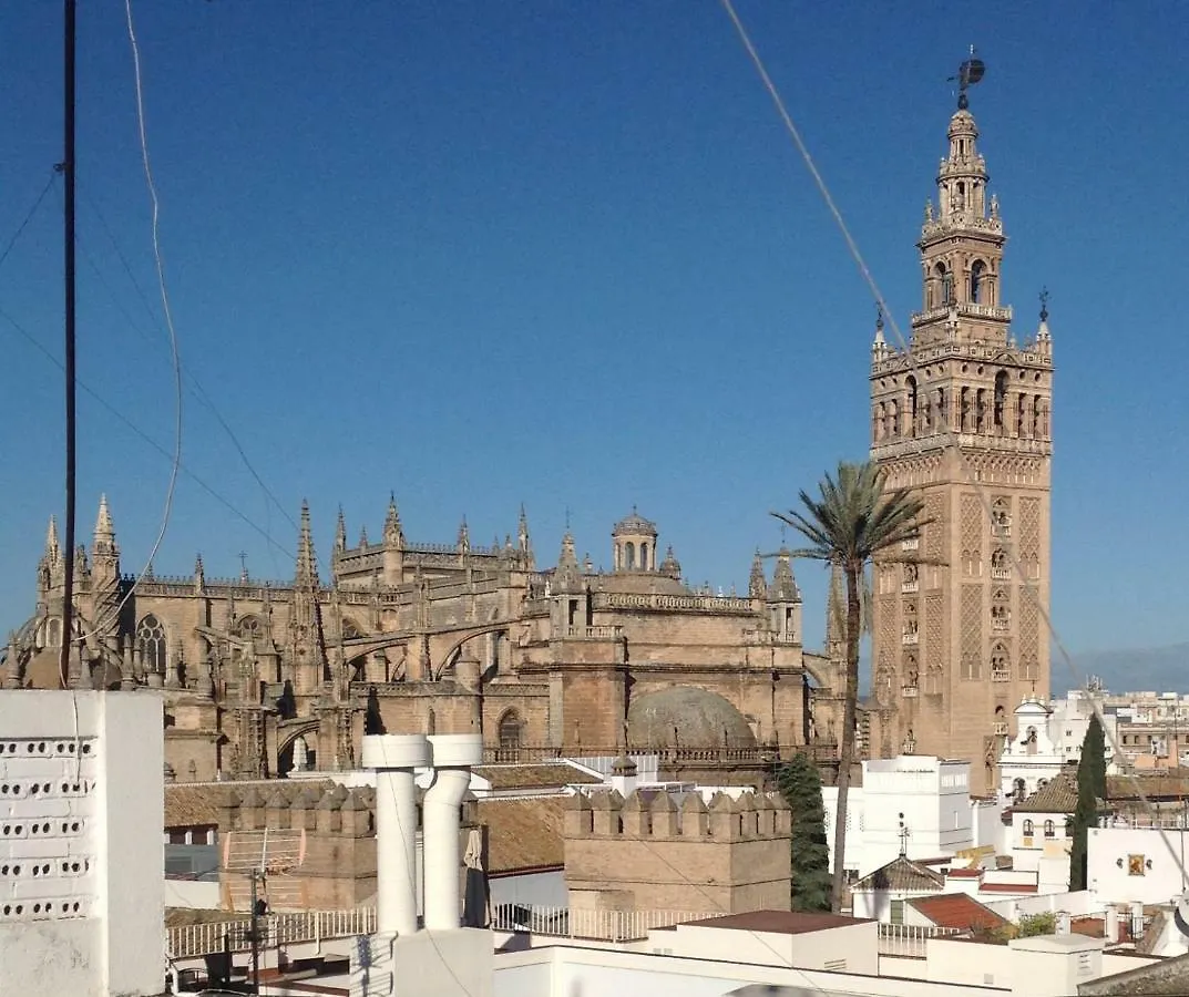 Villa Elvira, Exclusive Pool And Gardens In The Heart Of Sevilla  세비야